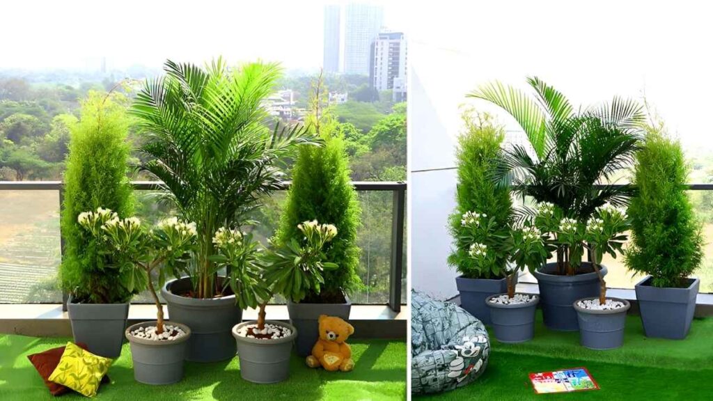 TOP 4 Balcony Garden Containers to Grow Your Own Dinner